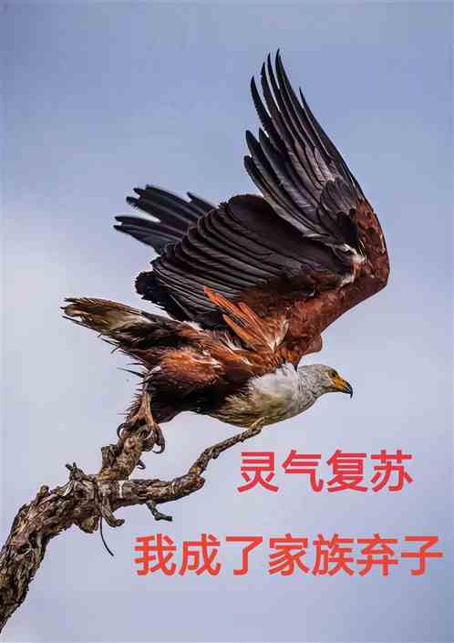 灵气复苏，我成了家族弃子
