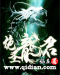 绝圣龙君