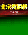 北宋搅屎棍