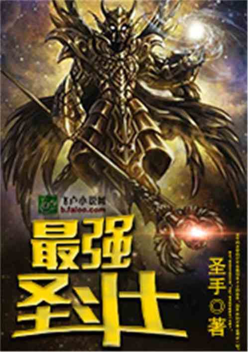 最强圣斗士