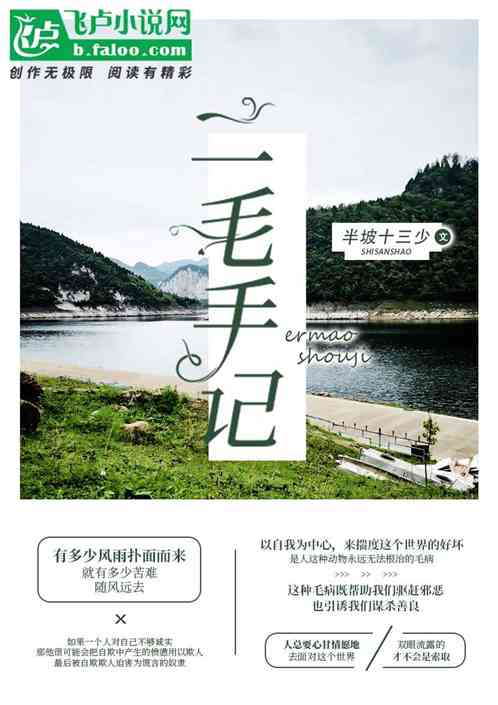 二毛手记