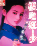 极道狂少
