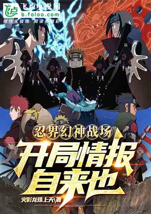 忍界幻神战场：健康鼬VS鹰佐