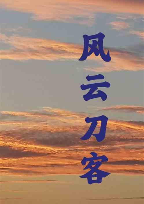 风云刀客