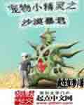 神奇宝贝之火焰君主