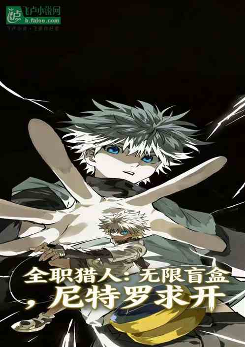 全职猎人：无限盲盒，尼特罗求开