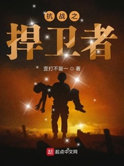 抗战之捍卫者txt下载
