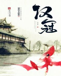 汉冠军版云辇
