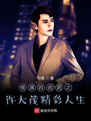 情满四合院刘家大儿子