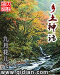 乡土文化的书
