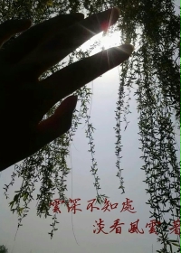 云深不知处