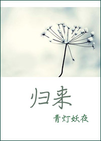 归来戴月光