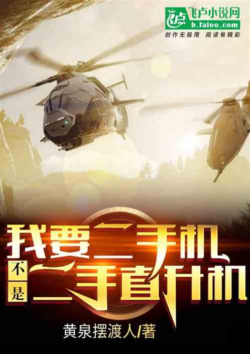 中国二手直升机交易市场