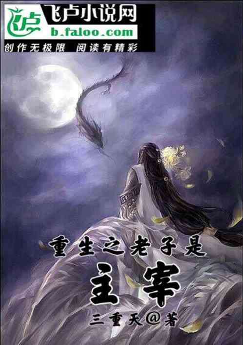 重生之老子是皇上赵洞庭最新版小说
