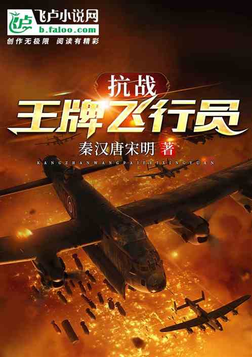 中国抗战王牌飞行员
